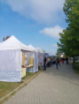 /album/3-10-2026-modransky-jarmark/img-20261003-105823-jpg/